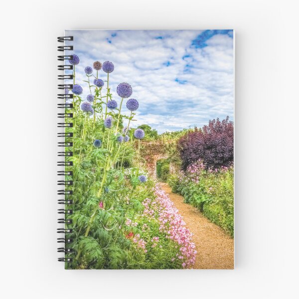 Item preview, Echinops at Rousham designed and sold by Viv Thompson Photography .