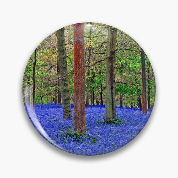 Item preview, Bluebell Woods Greys Court Oxfordshire England designed and sold by AndyEvansPhotos.