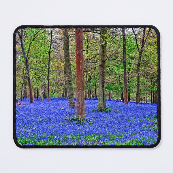 Item preview, Bluebell Woods Greys Court Oxfordshire England designed and sold by AndyEvansPhotos.
