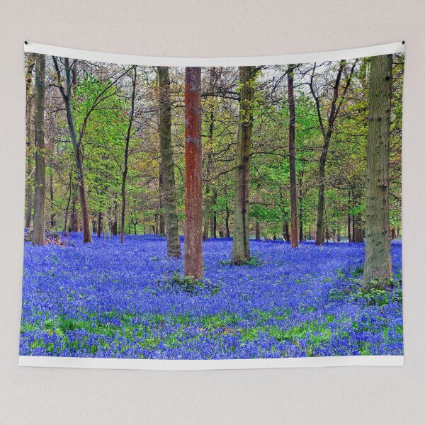 Item preview, Bluebell Woods Greys Court Oxfordshire England designed and sold by AndyEvansPhotos.