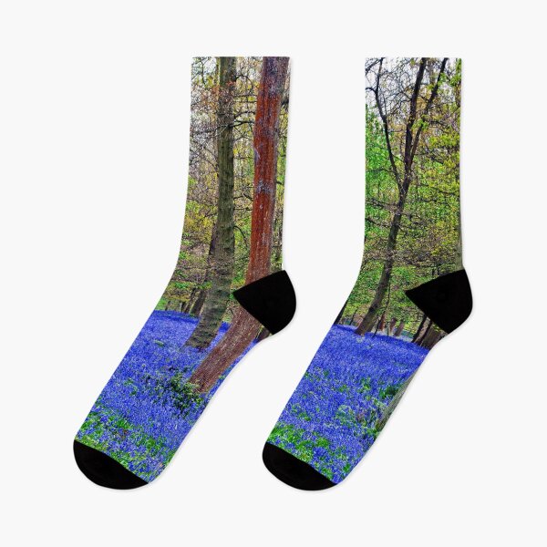 Item preview, Bluebell Woods Greys Court Oxfordshire England designed and sold by AndyEvansPhotos.