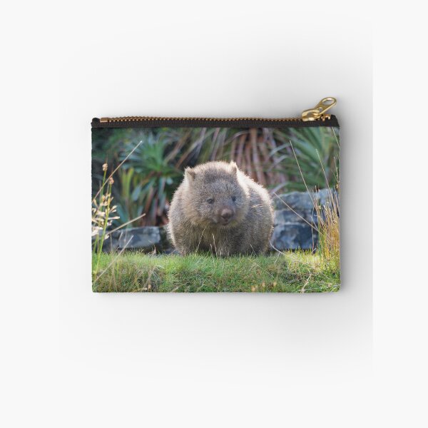 Item preview, Wombat at Cradle Mountain, Lake St Clair National Park, Tasmania, Australia designed and sold by antonium.
