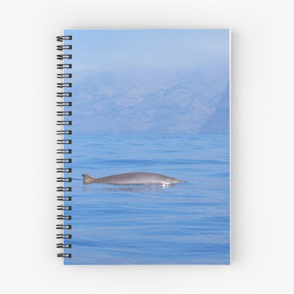 Item preview, Beaked whale in the mist designed and sold by Chloé Yzoard.