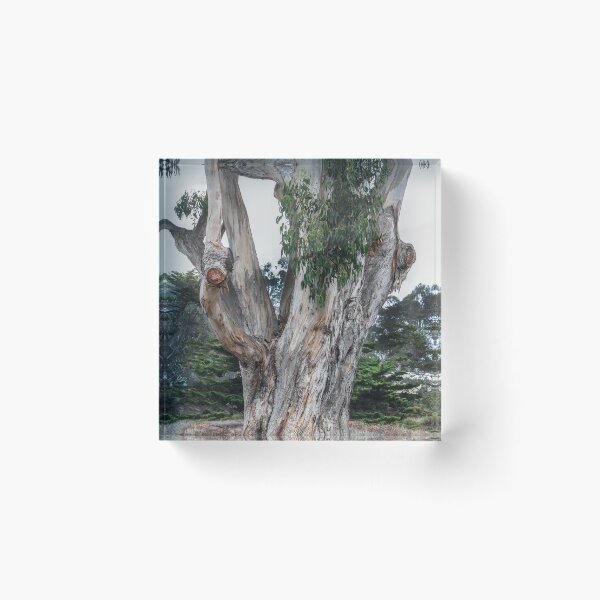 Item preview, Mother Nature's Special Tree  designed and sold by heatherfriedman.
