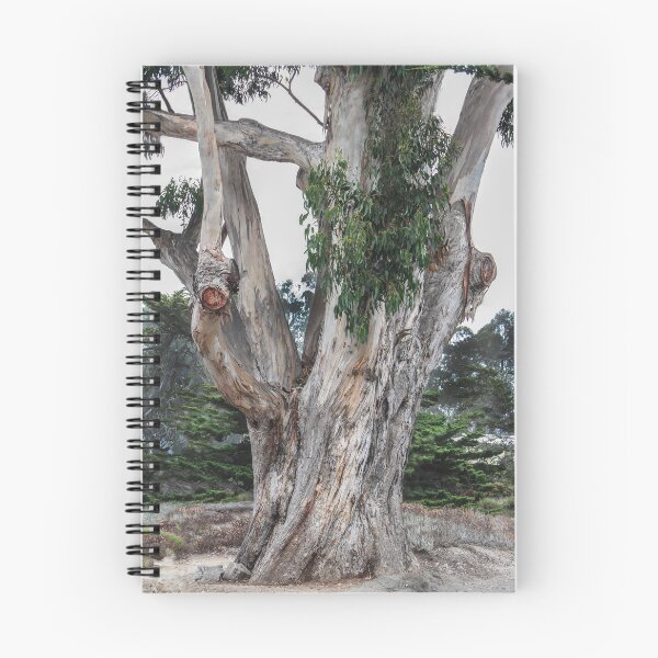 Item preview, Mother Nature's Special Tree  designed and sold by heatherfriedman.