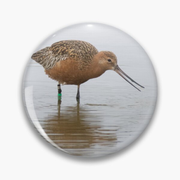 Item preview, Bar Tailed Godwit designed and sold by LaurenTucker.