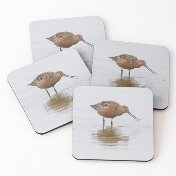 Item preview, Bar Tailed Godwit designed and sold by LaurenTucker.