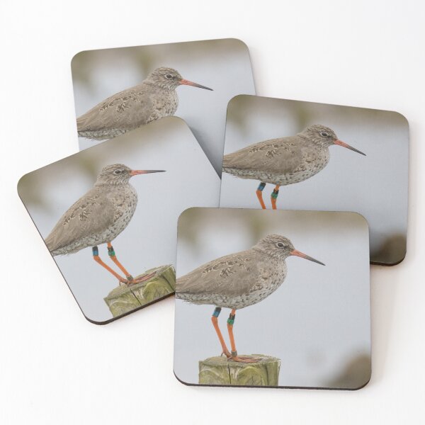 Item preview, Common Redshank designed and sold by LaurenTucker.