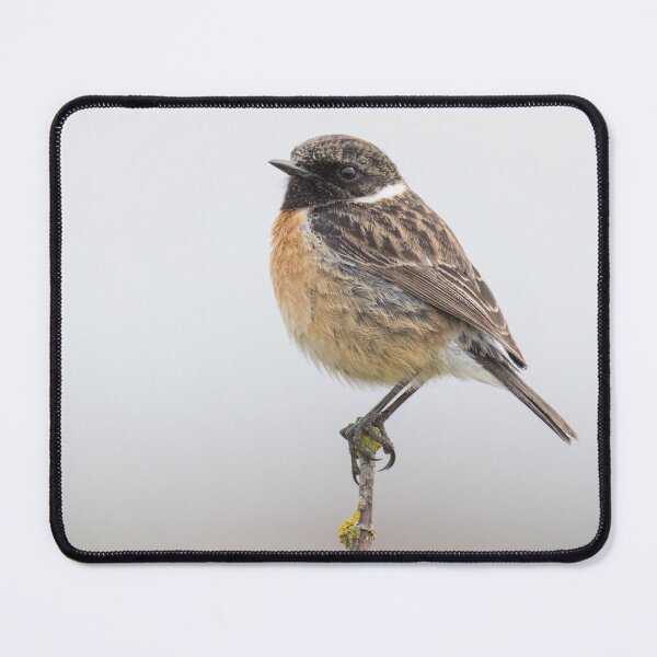 Item preview, Stonechat designed and sold by LaurenTucker.