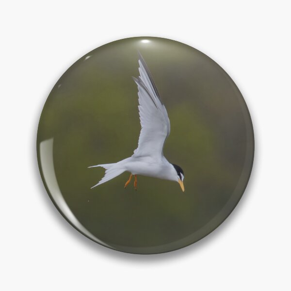 Item preview, Little Tern designed and sold by LaurenTucker.