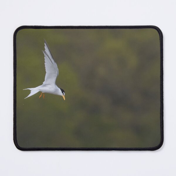 Item preview, Little Tern designed and sold by LaurenTucker.