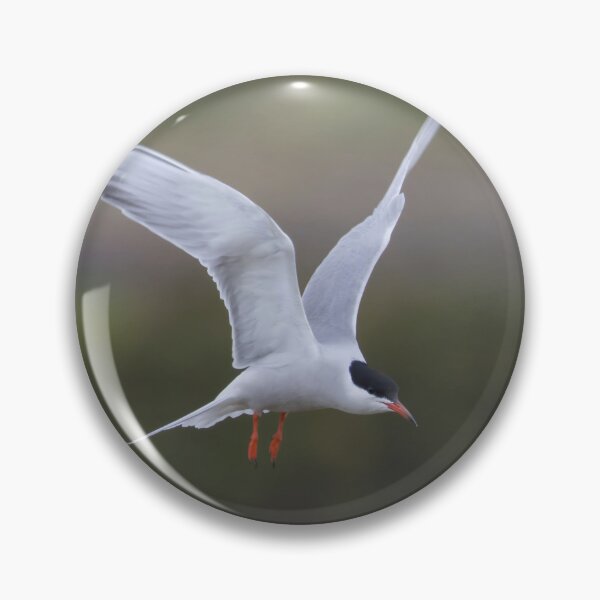 Item preview, Common Tern designed and sold by LaurenTucker.