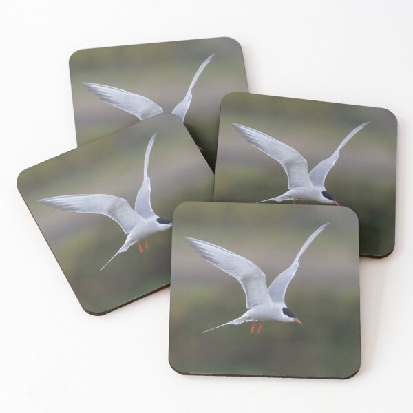 Item preview, Common Tern designed and sold by LaurenTucker.