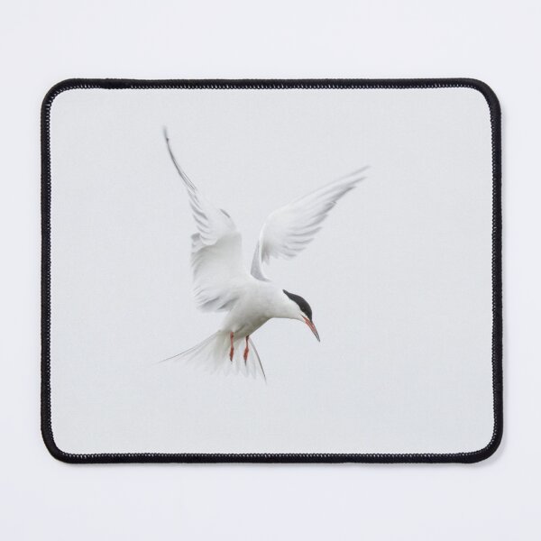 Item preview, Common Tern designed and sold by LaurenTucker.