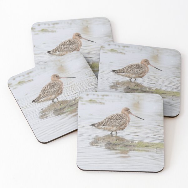 Item preview, Bar Tailed Godwit designed and sold by LaurenTucker.