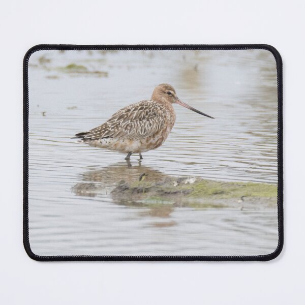 Item preview, Bar Tailed Godwit designed and sold by LaurenTucker.