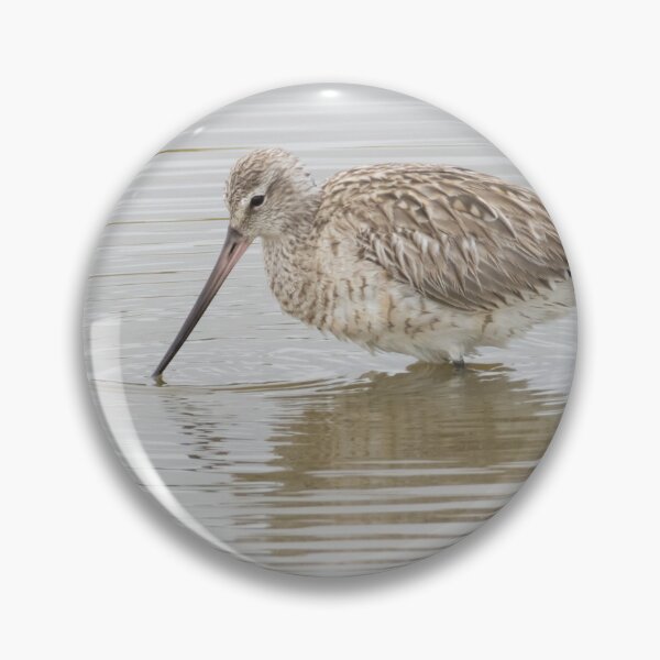 Item preview, Bar Tailed Godwit designed and sold by LaurenTucker.