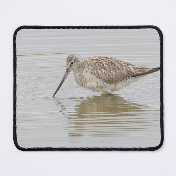 Item preview, Bar Tailed Godwit designed and sold by LaurenTucker.