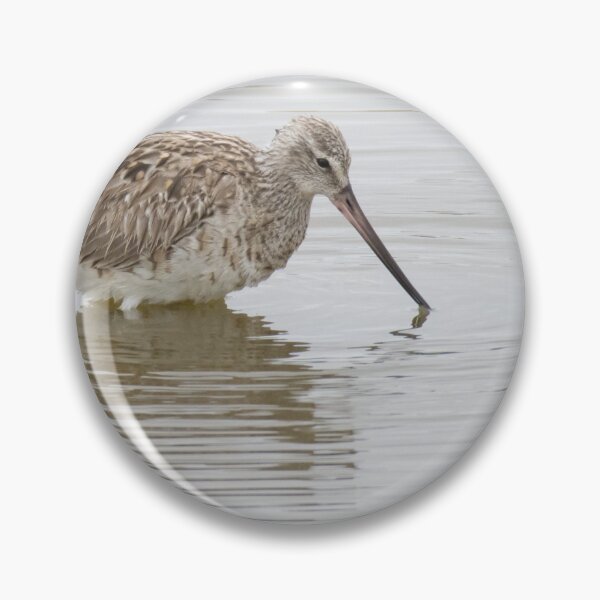 Item preview, Bar Tailed Godwit designed and sold by LaurenTucker.