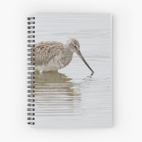 Item preview, Bar Tailed Godwit designed and sold by LaurenTucker.