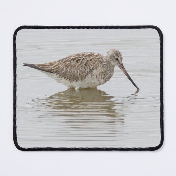 Item preview, Bar Tailed Godwit designed and sold by LaurenTucker.