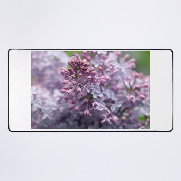 Item preview, Violet lilac on nature background designed and sold by olena2552.
