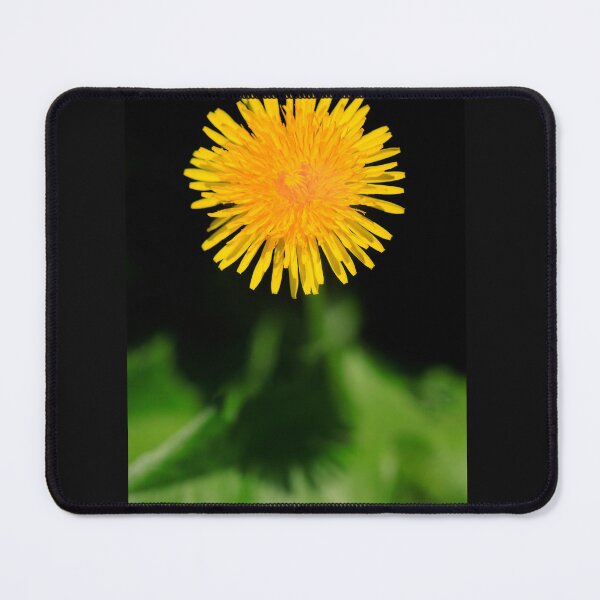 Item preview, Yellow dandelion on nature background designed and sold by olena2552.