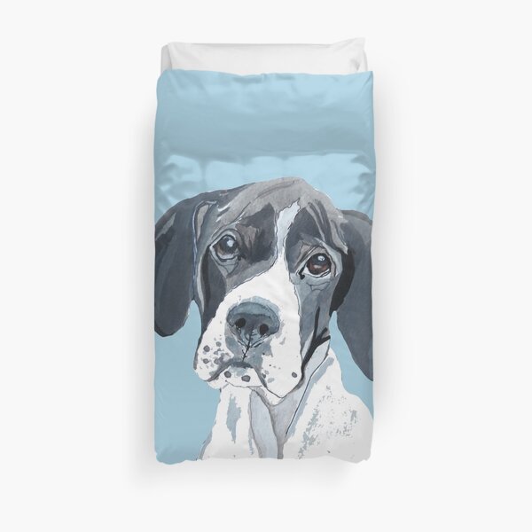 baby english pointer