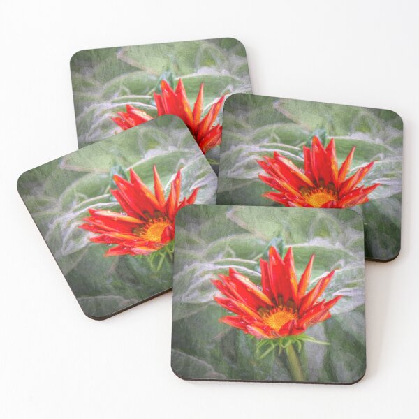 Item preview, Emerging Gazania designed and sold by Viv Thompson Photography .