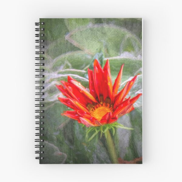 Item preview, Emerging Gazania designed and sold by Viv Thompson Photography .