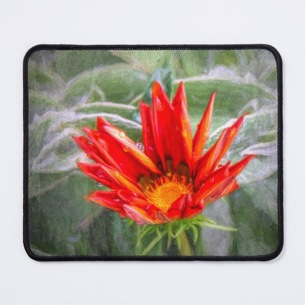 Item preview, Emerging Gazania designed and sold by Viv Thompson Photography .