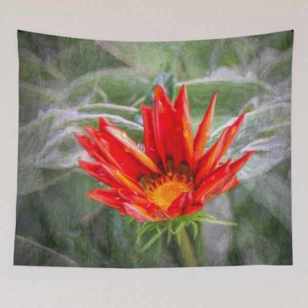 Item preview, Emerging Gazania designed and sold by Viv Thompson Photography .