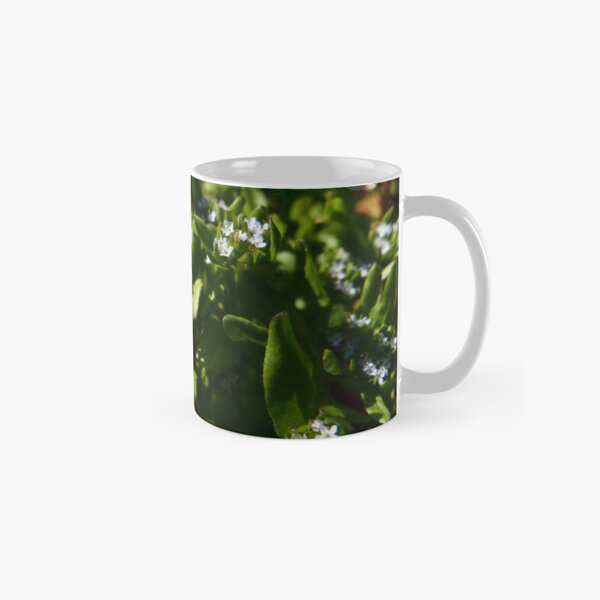 Common Cornsalad (Valerianella locusta) Classic Mug