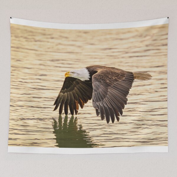 Item preview, Eagle in Chilkat Eagle Preserve Alaska designed and sold by PhotoArt by Joan Carroll.