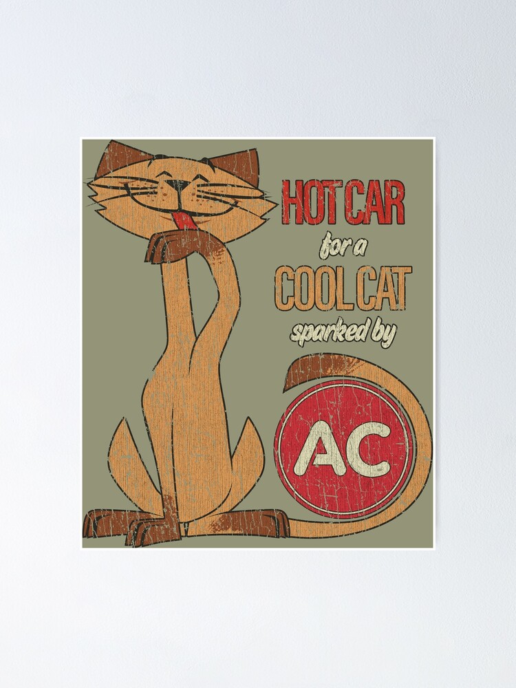 Cool Cat Spark Plugs 1962