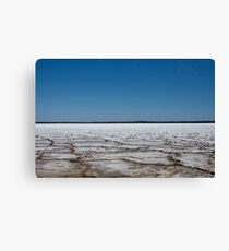 Salt Lake Canvas Print
