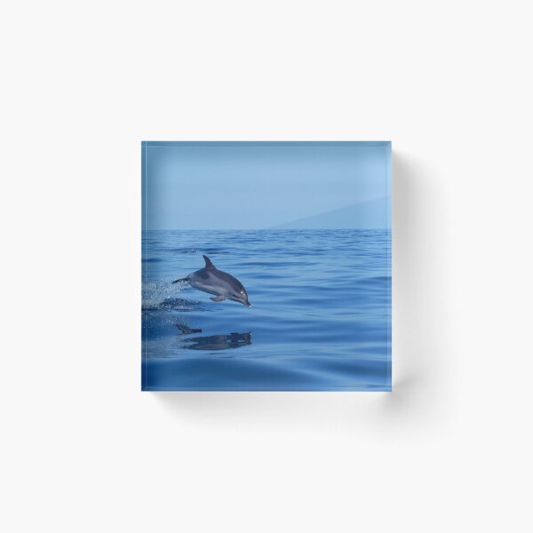 Item preview, Spotted dolphin jumping in the Atlantic ocean designed and sold by Chloé Yzoard.