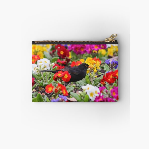 Artikelvorschau, Amsel in Stiefmütterchen entworfen und verkauft von GreyFeatherPhot.