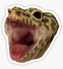 Pegatina Gecko Scream