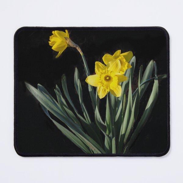 Item preview, Among the First Daffodils of This Spring designed and sold by Gerda Grice Photography.