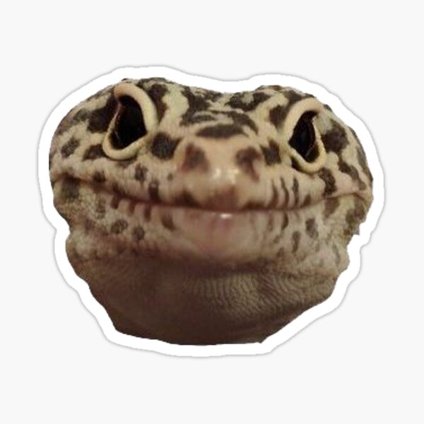 Item preview, Gecko Smile designed and sold by Kuhli.