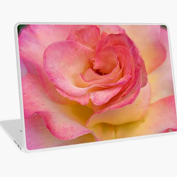 Beautiful rose Laptop Skin