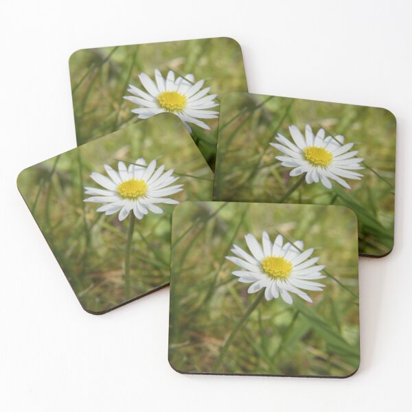 Item preview, Spring Daisy designed and sold by C Rose.