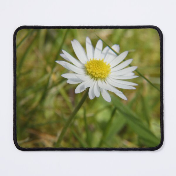Item preview, Spring Daisy designed and sold by C Rose.