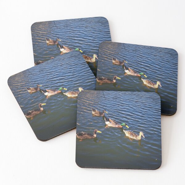 Item preview, four friends duck in montazah lake designed and sold by sadeek1021953Ss.