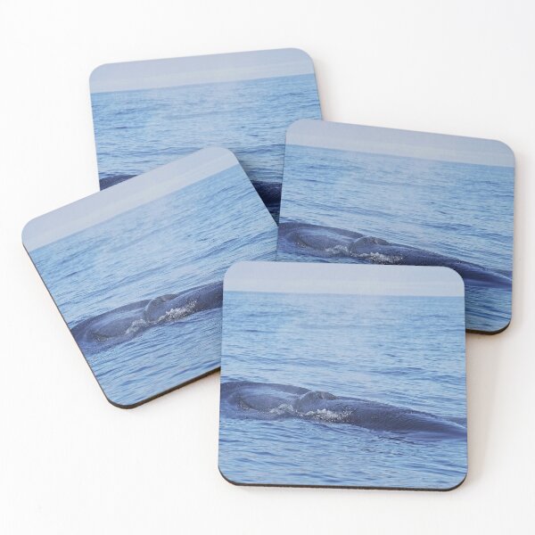 Item preview, Tropical whale: The Bryde´s whale designed and sold by Chloé Yzoard.