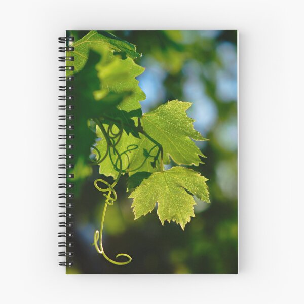 Item preview, Mediterranean Grape Vine designed and sold by AngeloDeVal.