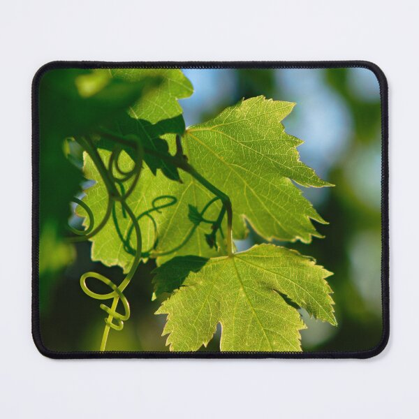 Item preview, Mediterranean Grape Vine designed and sold by AngeloDeVal.