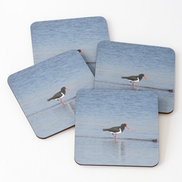 Item preview, A pied oystercatcher in the water designed and sold by greentiger1.