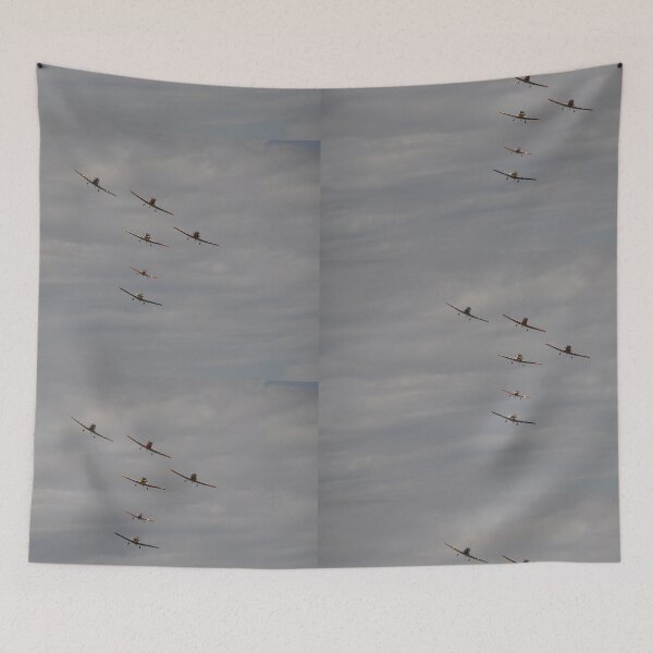 Item preview,  Trainer T-formation, Tyabb, Australia 20240310 designed and sold by muz2142.